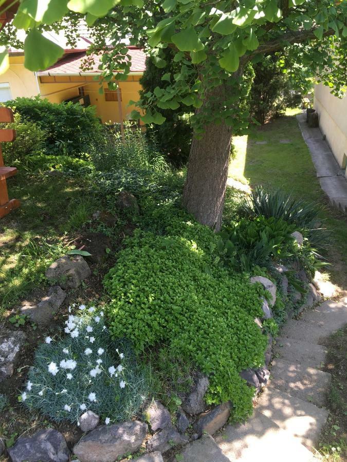 Bogoly Apartman Tokaj Exterior photo
