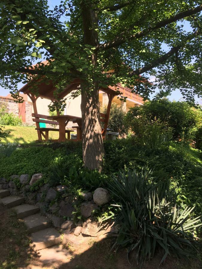 Bogoly Apartman Tokaj Exterior photo